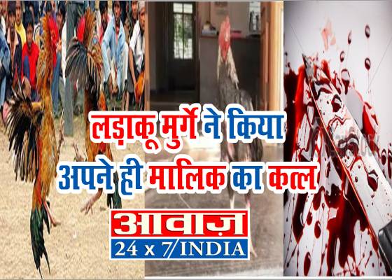 मुर्गे ने अपने ही मालिक का किया कत्ल, पुलिस ने हत्या के आरोप में मुर्गे को किया गिरफ्तार
